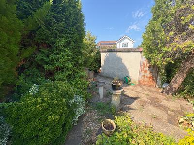 Picture 21